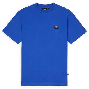 Dickies Mount Vista T-Shirt - Satin Sky