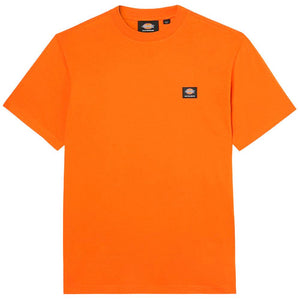 Dickies Mount Vista T-Shirt - Burnt Orange