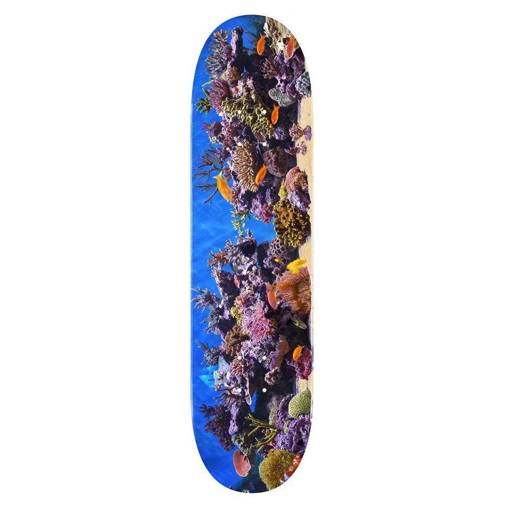 Mini Logo Skateboard Deck - Fish Tank 243 8"