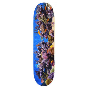Mini Logo Skateboard Deck - Fish Tank 243 8"