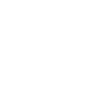 Bones Wheels - SPF Circle Skulls