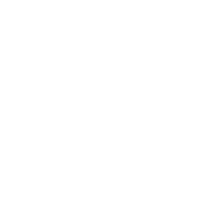 The National Skateboard Co.
