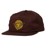 Anti Hero Grimple Snapback Cap - Espresso