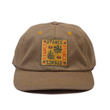 Stance Standard Adjustable Cap - Stone