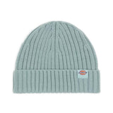 Dickies Lockwood Beanie - Blue Surf