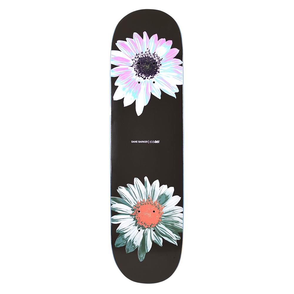 Quasi Skateboard Deck - Heavy Petal Barker 8.125"