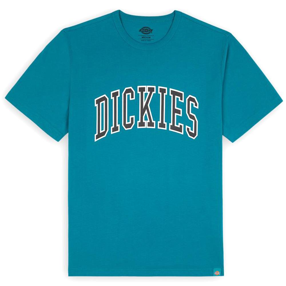 Dickies Aitkin T-Shirt - Deep Lake