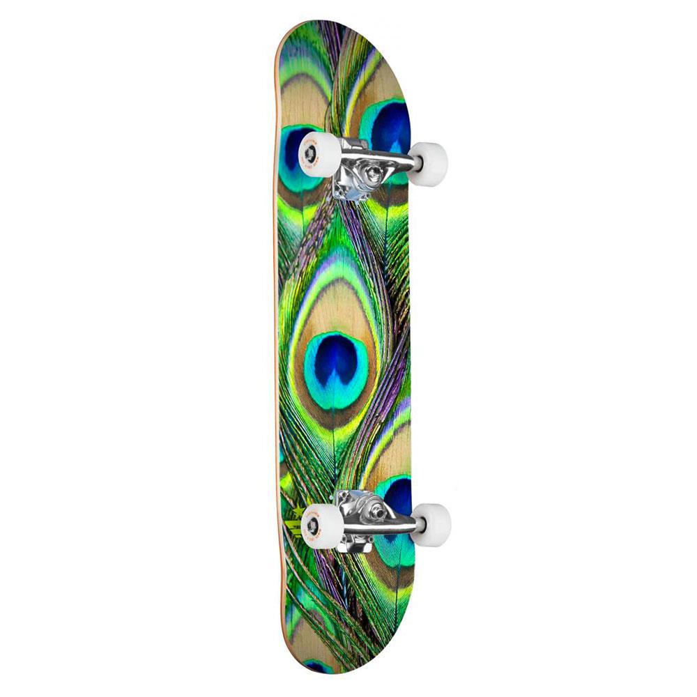 Mini Logo Complete Skateboard - Peacock Feather 291 Multi 7.75"